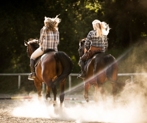 Horseback riding