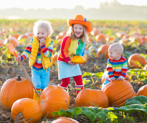 Kids in the pumpkin patch!