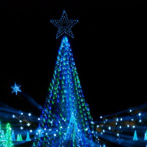 Christmas light show